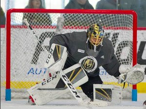For Goalie Training & Development - All Levels of Goaltender Training. All net sizes - Guardian Anchorpegs - North American Version